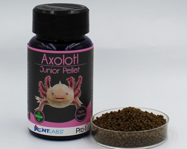 NT Labs Pro-f - Axolotl Junior Pellet 60g